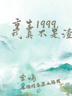重生1999,我真不是渣男啊