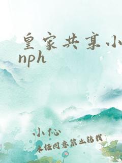 皇家共享小公主nph