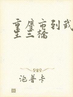 重庆市到武隆天生三桥