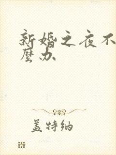 新婚之夜不会怎么办