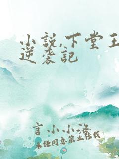 小说,下堂王妃逆袭记