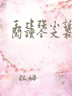 王建强小说免费阅读全文最新章节