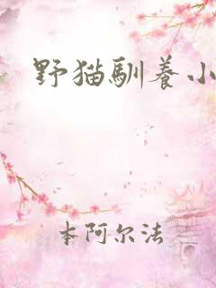 野猫驯养小说