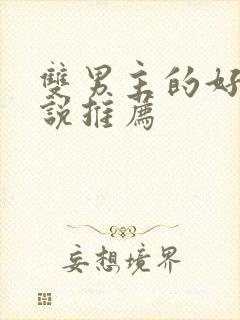 双男主的好看小说推荐