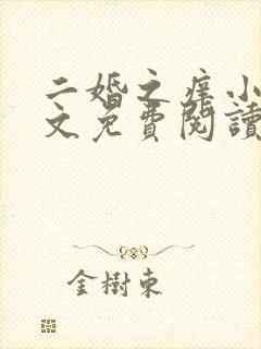 二婚之痒小说全文免费阅读