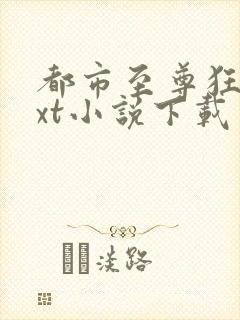 都市至尊狂兵txt小说下载