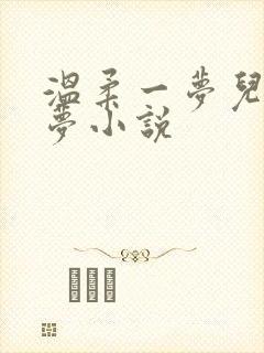 温柔一梦儿媳林梦小说