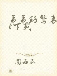 弟弟的惊喜txt下载