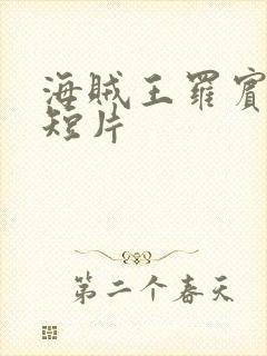 海贼王罗宾被h短片