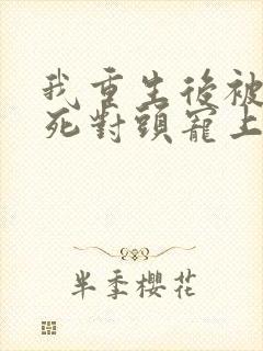 我重生后被渣男死对头宠上天