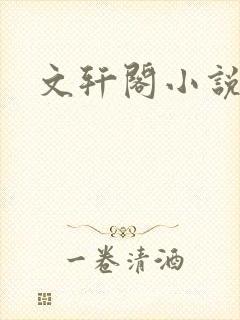 文轩阁小说网