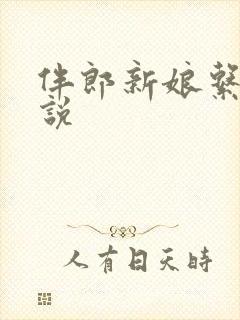 伴郎新娘系列小说