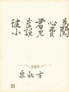 彼岸君心为我倾小说免费阅读