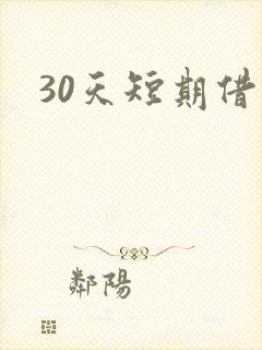 30天短期借款