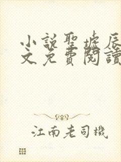 小说圣墟辰东全文免费阅读