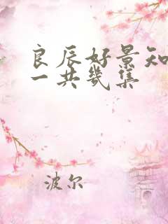 良辰好景知几何一共几集