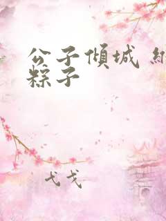 公子倾城 维和粽子