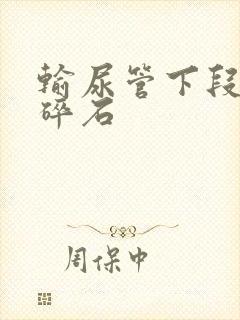 输尿管下段结石碎石