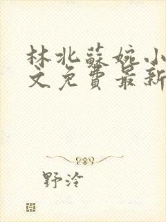 林北苏婉小说全文免费最新