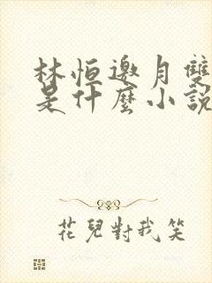 林恒邀月双胞胎是什么小说