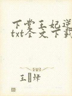 下堂王妃逆袭记txt全文下载