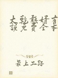 大乾憨婿有声小说免费全本完整版