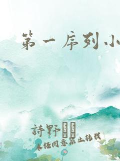 第一序列小说