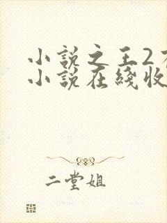 小说之王2有声小说在线收听