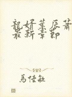 龙婿叶辰萧初然最新章节