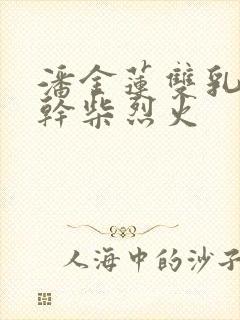 潘金莲双乳晃动干柴烈火