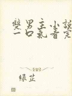 双男主小说推文一口气看完系列已完结