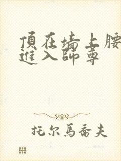 顶在墙上腰一沉进入师尊