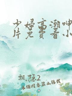 少妇高潮呻吟A片免费看小说