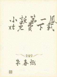 小说第一凤女txt免费下载