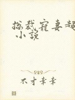 总裁宠妻超给力 小说