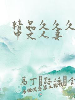 精品久久久久久中文人妻