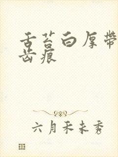 舌苔白厚带腻有齿痕