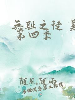 无耻之徒 美版 第四季