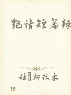 艳情短篇辣文