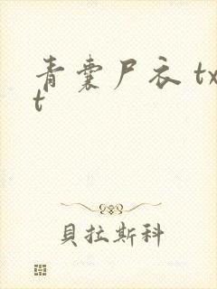 青囊尸衣 txt