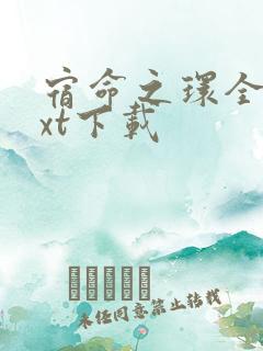 宿命之环全本txt下载