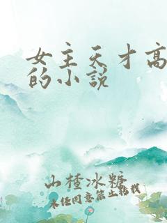 女主天才高智商的小说