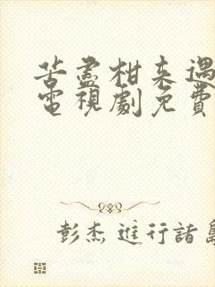 苦尽柑来遇见你电视剧免费观看