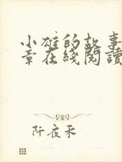 小雄的故事第一章在线阅读