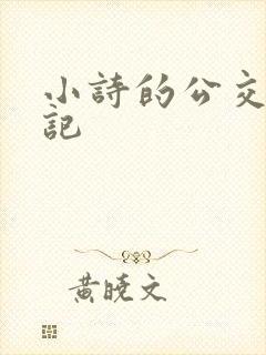 小诗的公交车日记