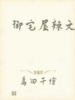 御宅屋辣文合集