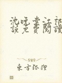 沈晚棠江祁的小说免费阅读