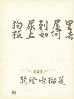 狗尿到屋里木地板上如何去除异味