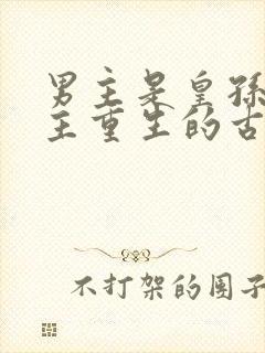 男主是皇孙,女主重生的古言