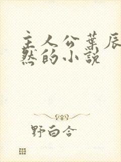 主人公叶辰萧初然的小说